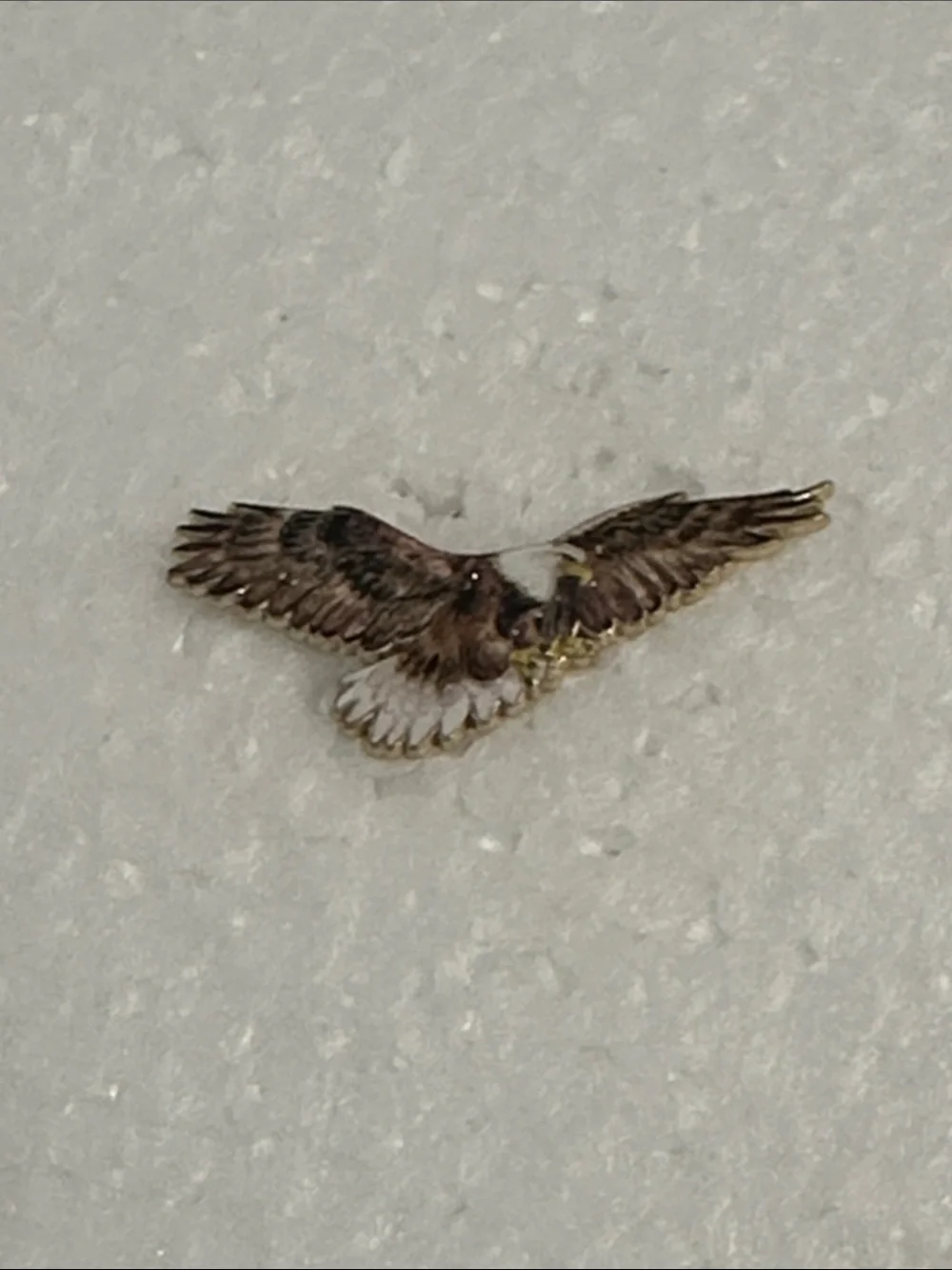 Decorative American Bold Eagle Pin Brooch - Brown and Gold